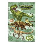 Toalha de Banho Infantil Dohler Felpuda 70cm x 115cm Dino 01